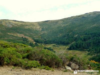 La Dehesa Bonita - Abedular de Somosierra_ excursiones y senderismo Madrid